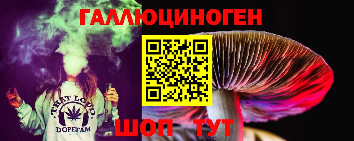 Псилоцибиновые грибы Psilocybe  Вход с VPN  цены наркотик  Трёхгорный 